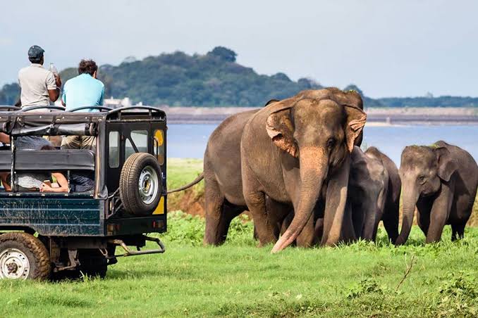 SRILANKA - HÒN NGỌC ĐÔNG DƯƠNG (S)